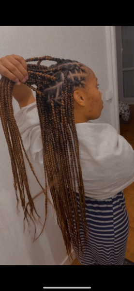 salon de coiffure afro tresse tresses box braids crochet braids vanilles tissages paris 75 77 78 91 92 93 94 95 FEOHOXKB