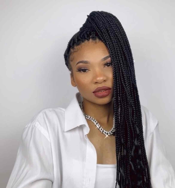 salon de coiffure afro tresse tresses box braids crochet braids vanilles tissages paris 75 77 78 91 92 93 94 95 UJZWTSZX