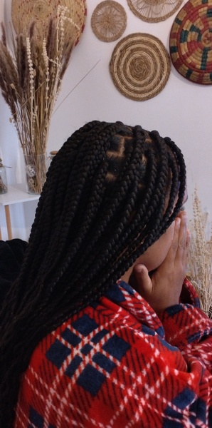 salon de coiffure afro tresse tresses box braids crochet braids vanilles tissages paris 75 77 78 91 92 93 94 95 EXVJJOAO