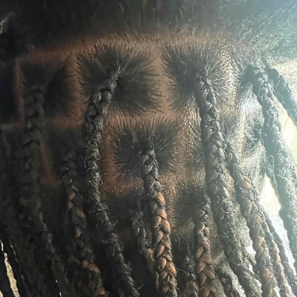 salon de coiffure afro tresse tresses box braids crochet braids vanilles tissages paris 75 77 78 91 92 93 94 95 XIINFPNY