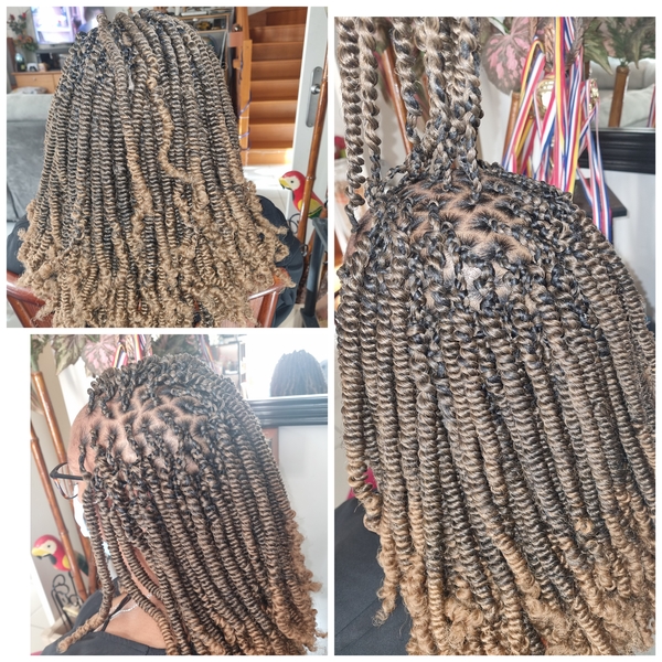 salon de coiffure afro tresse tresses box braids crochet braids vanilles tissages paris 75 77 78 91 92 93 94 95 POHGAVZI