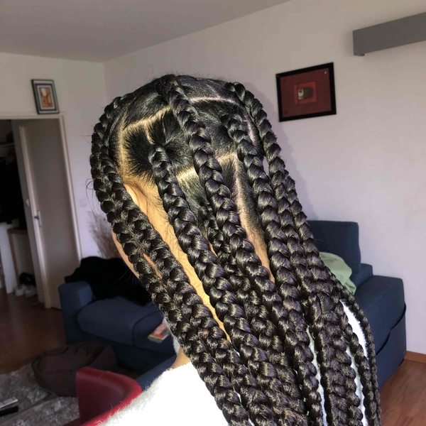 salon de coiffure afro tresse tresses box braids crochet braids vanilles tissages paris 75 77 78 91 92 93 94 95 DGYZZFMU