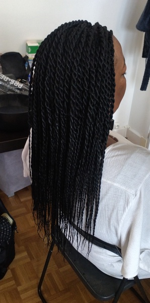 salon de coiffure afro tresse tresses box braids crochet braids vanilles tissages paris 75 77 78 91 92 93 94 95 ZPFYMSJL