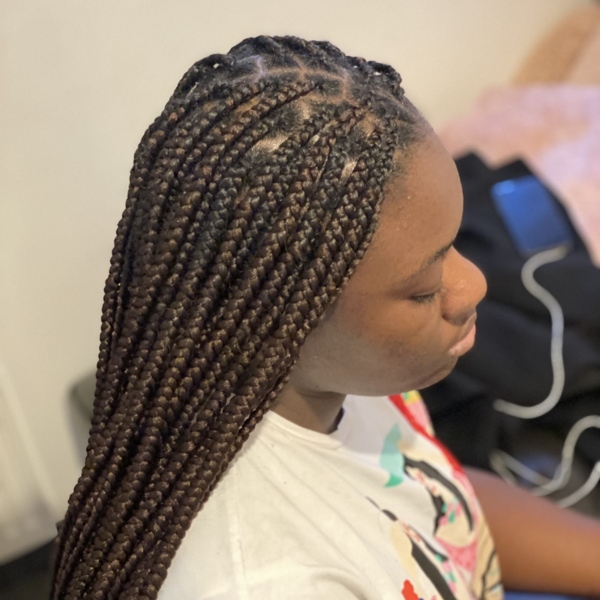 salon de coiffure afro tresse tresses box braids crochet braids vanilles tissages paris 75 77 78 91 92 93 94 95 SGANYHZE