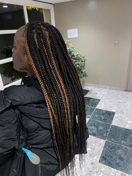 salon de coiffure afro tresse tresses box braids crochet braids vanilles tissages paris 75 77 78 91 92 93 94 95 FJRHGPKM