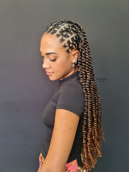 salon de coiffure afro tresse tresses box braids crochet braids vanilles tissages paris 75 77 78 91 92 93 94 95 EBHDVSGB