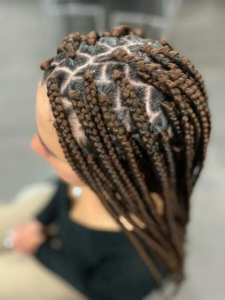 salon de coiffure afro tresse tresses box braids crochet braids vanilles tissages paris 75 77 78 91 92 93 94 95 TWSXZUFS