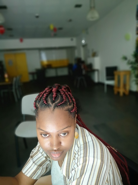 salon de coiffure afro tresse tresses box braids crochet braids vanilles tissages paris 75 77 78 91 92 93 94 95 PGMVOBGS