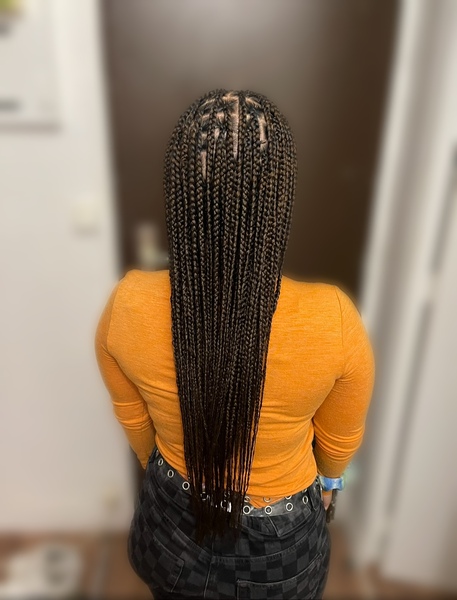 salon de coiffure afro tresse tresses box braids crochet braids vanilles tissages paris 75 77 78 91 92 93 94 95 VWKFVGOD