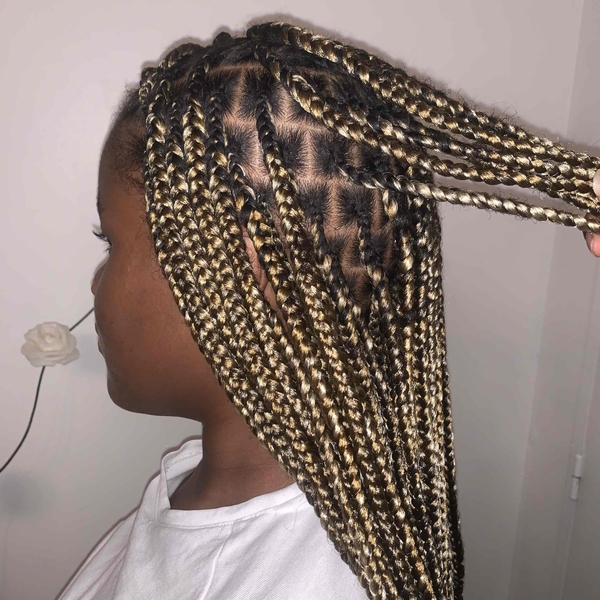 salon de coiffure afro tresse tresses box braids crochet braids vanilles tissages paris 75 77 78 91 92 93 94 95 TKPDQIRX