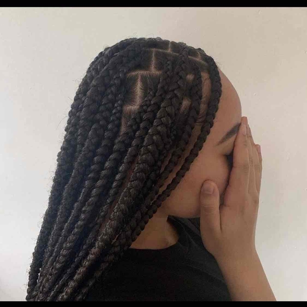 salon de coiffure afro tresse tresses box braids crochet braids vanilles tissages paris 75 77 78 91 92 93 94 95 NJEDHAZP
