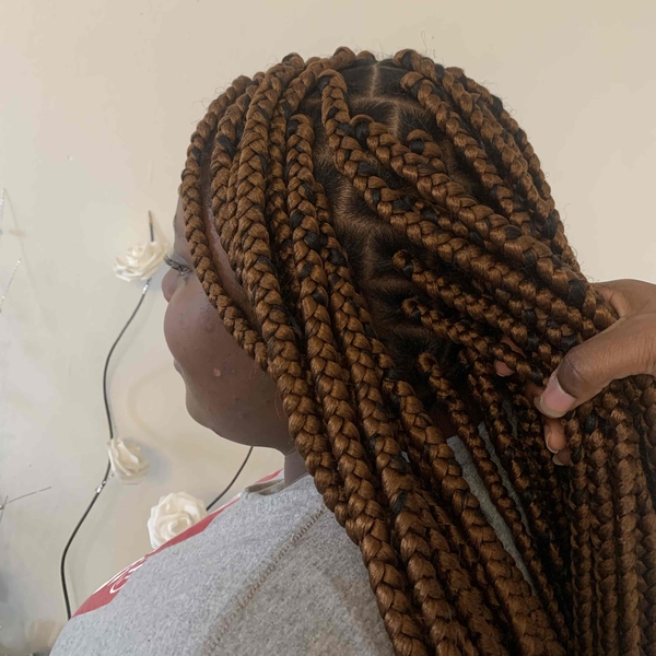 salon de coiffure afro tresse tresses box braids crochet braids vanilles tissages paris 75 77 78 91 92 93 94 95 AFHVYKHI
