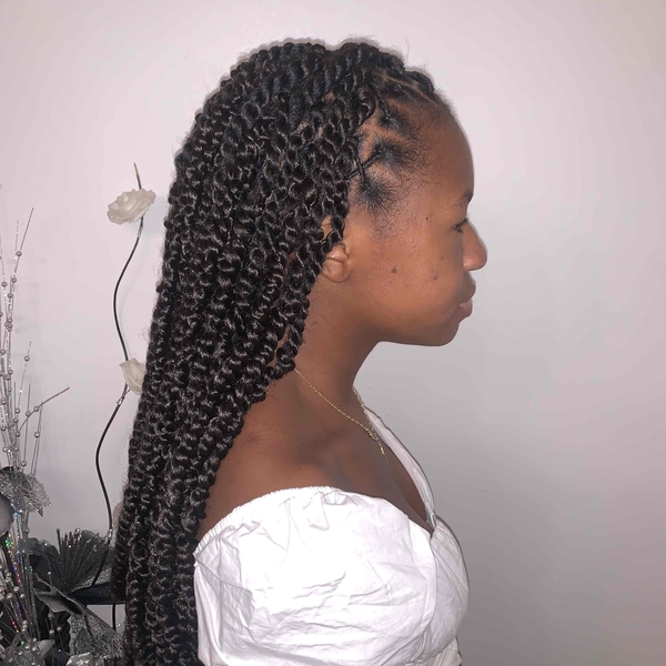 salon de coiffure afro tresse tresses box braids crochet braids vanilles tissages paris 75 77 78 91 92 93 94 95 SDQCJLBV