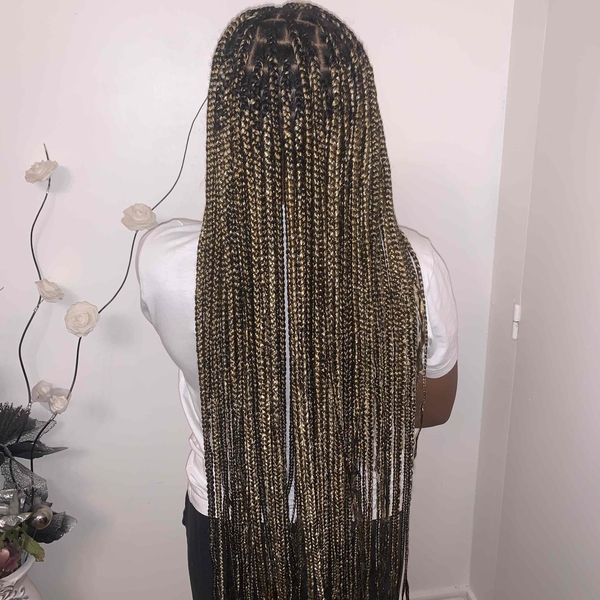 salon de coiffure afro tresse tresses box braids crochet braids vanilles tissages paris 75 77 78 91 92 93 94 95 NNYYVZPJ