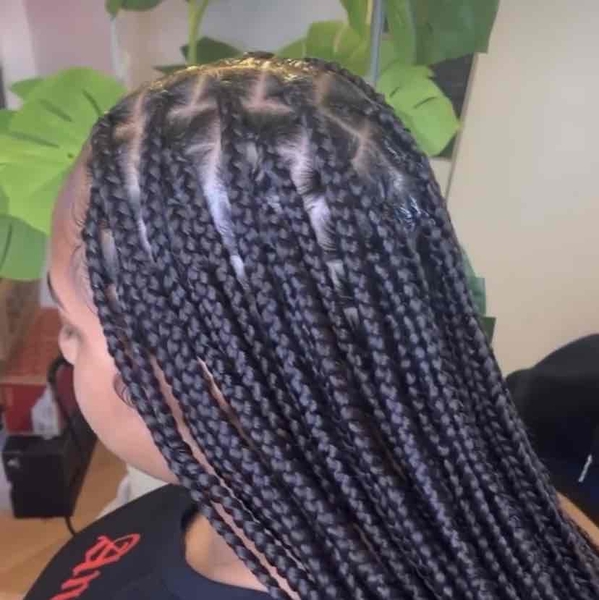 salon de coiffure afro tresse tresses box braids crochet braids vanilles tissages paris 75 77 78 91 92 93 94 95 QFAEYQOH