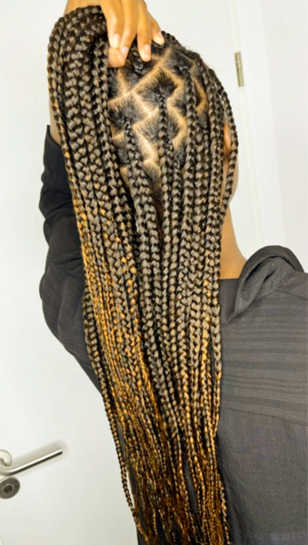 salon de coiffure afro tresse tresses box braids crochet braids vanilles tissages paris 75 77 78 91 92 93 94 95 LCKJKWFH