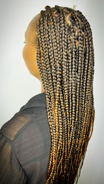 salon de coiffure afro tresse tresses box braids crochet braids vanilles tissages paris 75 77 78 91 92 93 94 95 SDHGWITG