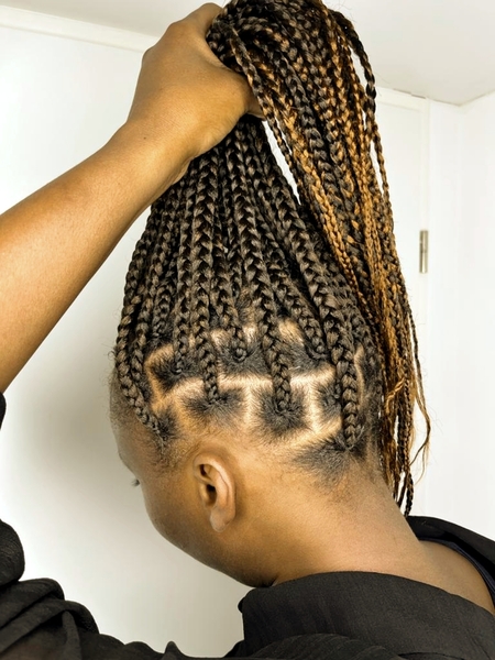 salon de coiffure afro tresse tresses box braids crochet braids vanilles tissages paris 75 77 78 91 92 93 94 95 KLWWMGLG