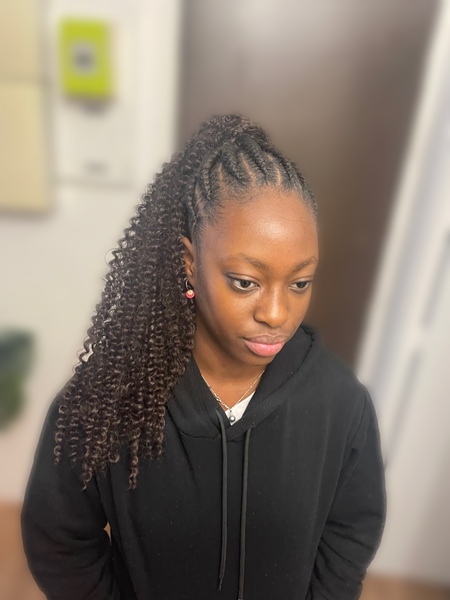 salon de coiffure afro tresse tresses box braids crochet braids vanilles tissages paris 75 77 78 91 92 93 94 95 PSTFYJBO