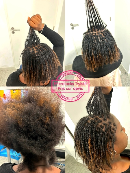 salon de coiffure afro tresse tresses box braids crochet braids vanilles tissages paris 75 77 78 91 92 93 94 95 EFJLBLTM