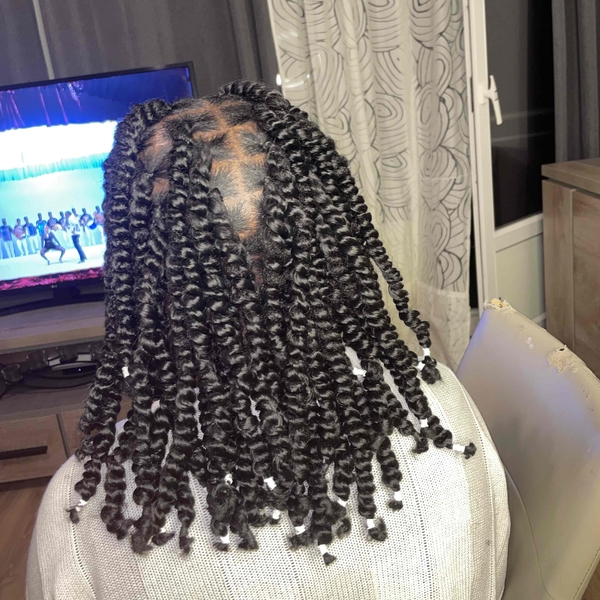 salon de coiffure afro tresse tresses box braids crochet braids vanilles tissages paris 75 77 78 91 92 93 94 95 OWGDTFPB
