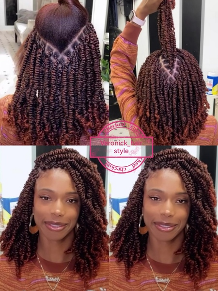 salon de coiffure afro tresse tresses box braids crochet braids vanilles tissages paris 75 77 78 91 92 93 94 95 HYNHDLTB