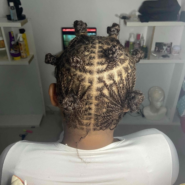 salon de coiffure afro tresse tresses box braids crochet braids vanilles tissages paris 75 77 78 91 92 93 94 95 XPWOFKSL