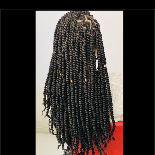 salon de coiffure afro tresse tresses box braids crochet braids vanilles tissages paris 75 77 78 91 92 93 94 95 DZXULHSD