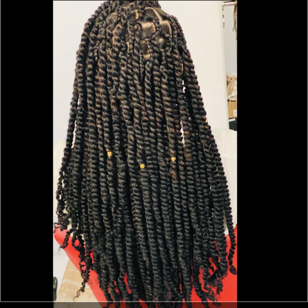 salon de coiffure afro tresse tresses box braids crochet braids vanilles tissages paris 75 77 78 91 92 93 94 95 GKSCXYBT