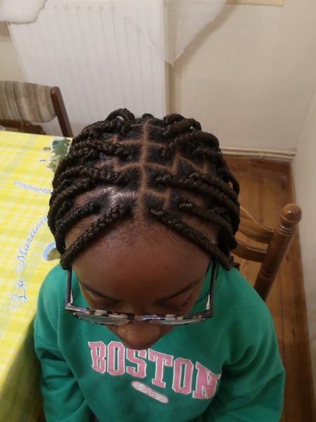 salon de coiffure afro tresse tresses box braids crochet braids vanilles tissages paris 75 77 78 91 92 93 94 95 IIBVTNXQ