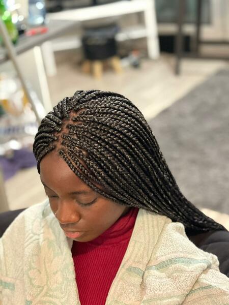 salon de coiffure afro tresse tresses box braids crochet braids vanilles tissages paris 75 77 78 91 92 93 94 95 NCURIVWP