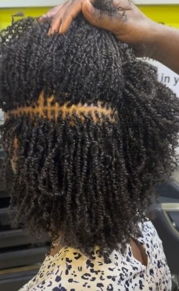 salon de coiffure afro tresse tresses box braids crochet braids vanilles tissages paris 75 77 78 91 92 93 94 95 WCBNLZPL