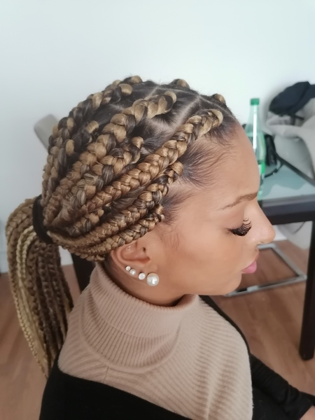 salon de coiffure afro tresse tresses box braids crochet braids vanilles tissages paris 75 77 78 91 92 93 94 95 BRBYOWNR