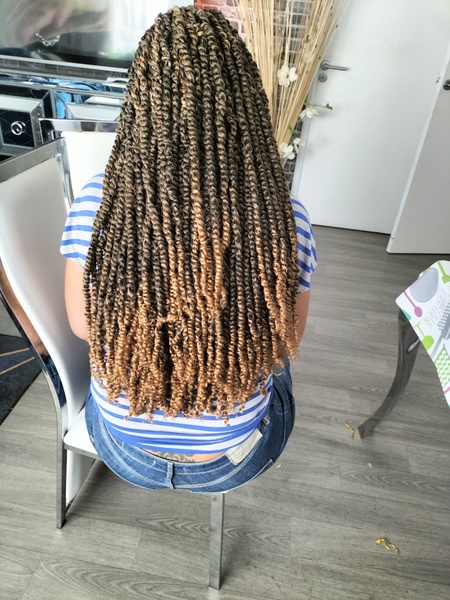 salon de coiffure afro tresse tresses box braids crochet braids vanilles tissages paris 75 77 78 91 92 93 94 95 QYPWZUKZ