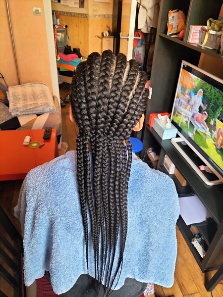 salon de coiffure afro tresse tresses box braids crochet braids vanilles tissages paris 75 77 78 91 92 93 94 95 XDLCASNM