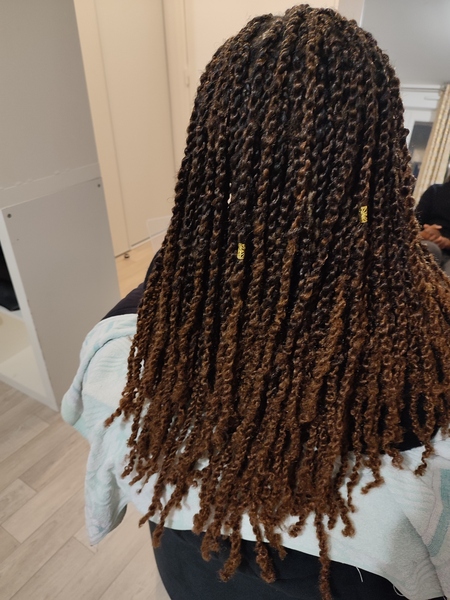 salon de coiffure afro tresse tresses box braids crochet braids vanilles tissages paris 75 77 78 91 92 93 94 95 ZGYIGTFX