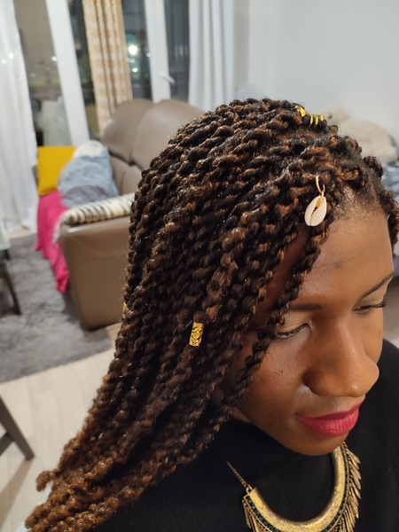 salon de coiffure afro tresse tresses box braids crochet braids vanilles tissages paris 75 77 78 91 92 93 94 95 XVRDPWYY