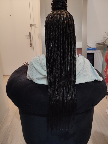 salon de coiffure afro tresse tresses box braids crochet braids vanilles tissages paris 75 77 78 91 92 93 94 95 MYYSTMWW