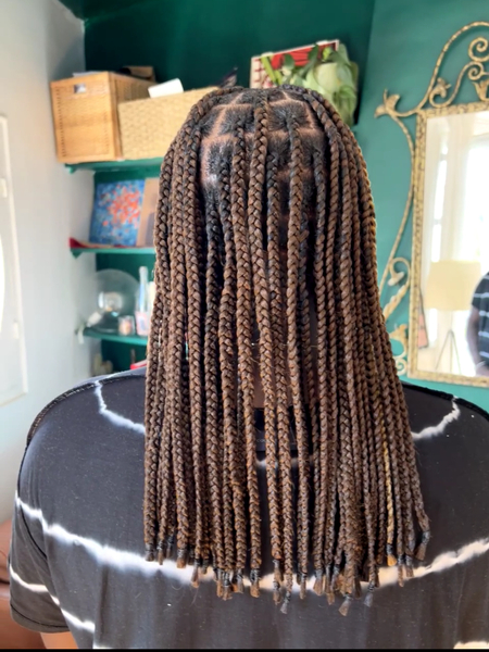 salon de coiffure afro tresse tresses box braids crochet braids vanilles tissages paris 75 77 78 91 92 93 94 95 UPJCZLBO