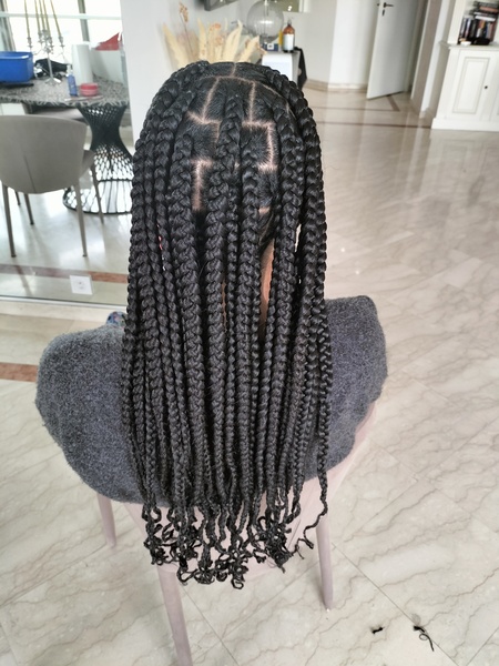 salon de coiffure afro tresse tresses box braids crochet braids vanilles tissages paris 75 77 78 91 92 93 94 95 TAMQUEOZ
