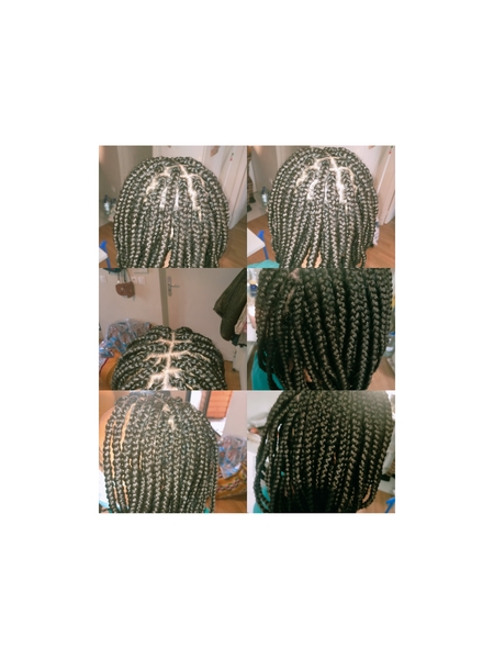 salon de coiffure afro tresse tresses box braids crochet braids vanilles tissages paris 75 77 78 91 92 93 94 95 LSHIDJBM