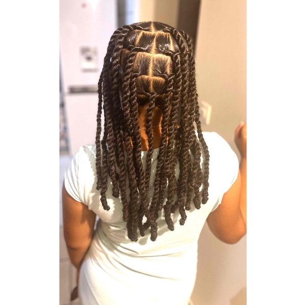 salon de coiffure afro tresse tresses box braids crochet braids vanilles tissages paris 75 77 78 91 92 93 94 95 MNHIPEJJ
