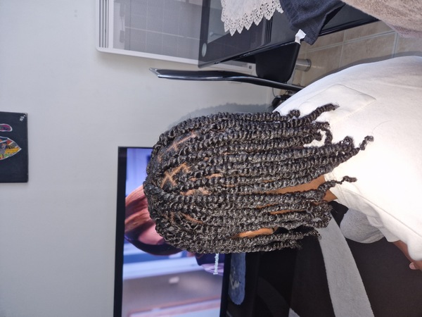 salon de coiffure afro tresse tresses box braids crochet braids vanilles tissages paris 75 77 78 91 92 93 94 95 GCGHKDHK