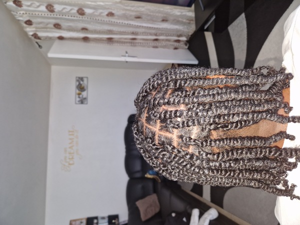 salon de coiffure afro tresse tresses box braids crochet braids vanilles tissages paris 75 77 78 91 92 93 94 95 KSQXPKAO