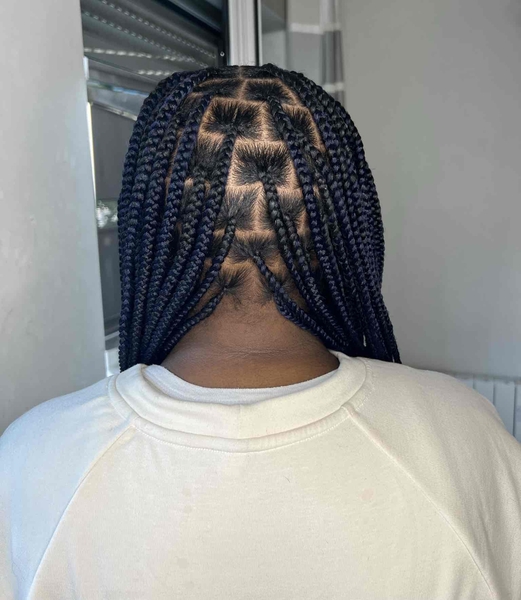 salon de coiffure afro tresse tresses box braids crochet braids vanilles tissages paris 75 77 78 91 92 93 94 95 UMJMDBUA