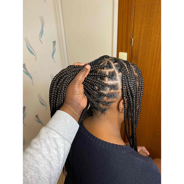 salon de coiffure afro tresse tresses box braids crochet braids vanilles tissages paris 75 77 78 91 92 93 94 95 CNUZSCOS