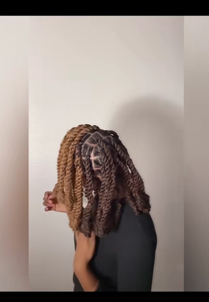 salon de coiffure afro tresse tresses box braids crochet braids vanilles tissages paris 75 77 78 91 92 93 94 95 AENOJIOM