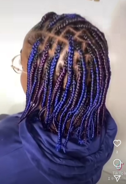 salon de coiffure afro tresse tresses box braids crochet braids vanilles tissages paris 75 77 78 91 92 93 94 95 IWHOLHVV