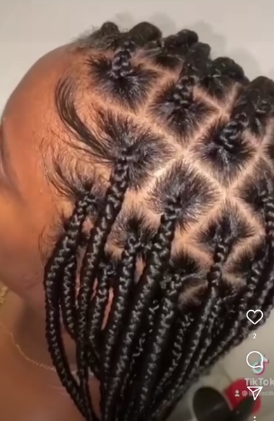 salon de coiffure afro tresse tresses box braids crochet braids vanilles tissages paris 75 77 78 91 92 93 94 95 MLIAGZPQ