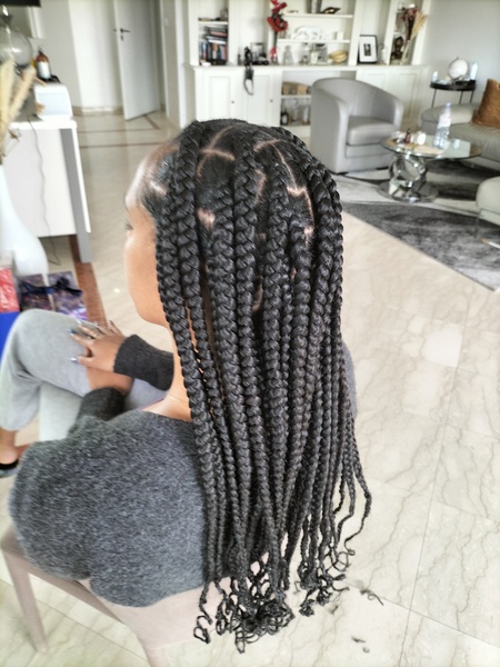 salon de coiffure afro tresse tresses box braids crochet braids vanilles tissages paris 75 77 78 91 92 93 94 95 BQQTBTZN